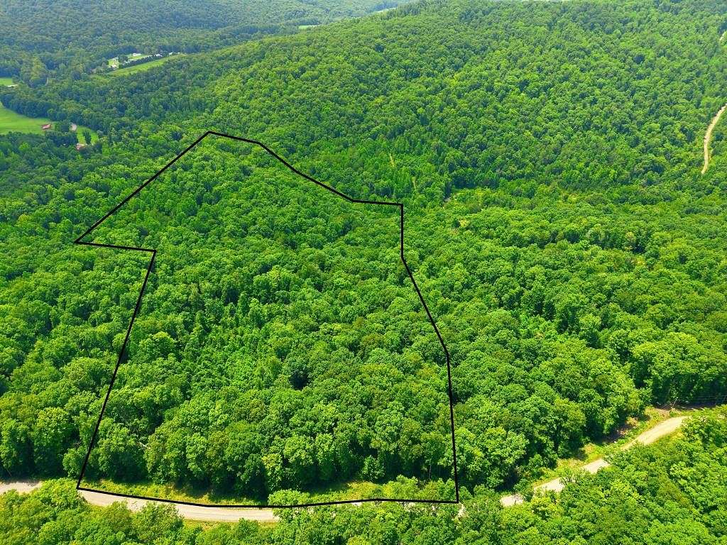 19.3 Acres of Agricultural Land for Sale in Jamestown, Tennessee