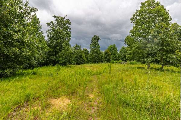 38.8 Acres of Land for Sale in Hampshire, Tennessee