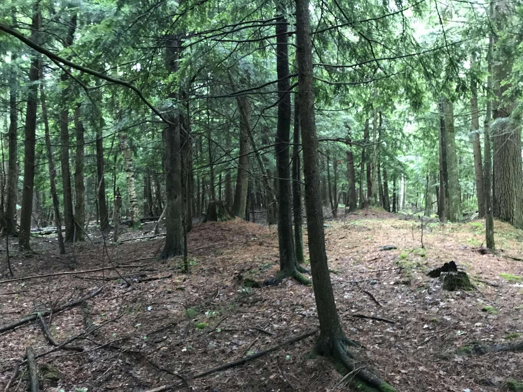 30 Acres of Recreational Land for Sale in Johannesburg, Michigan