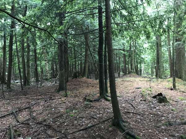 30 Acres of Recreational Land for Sale in Johannesburg, Michigan