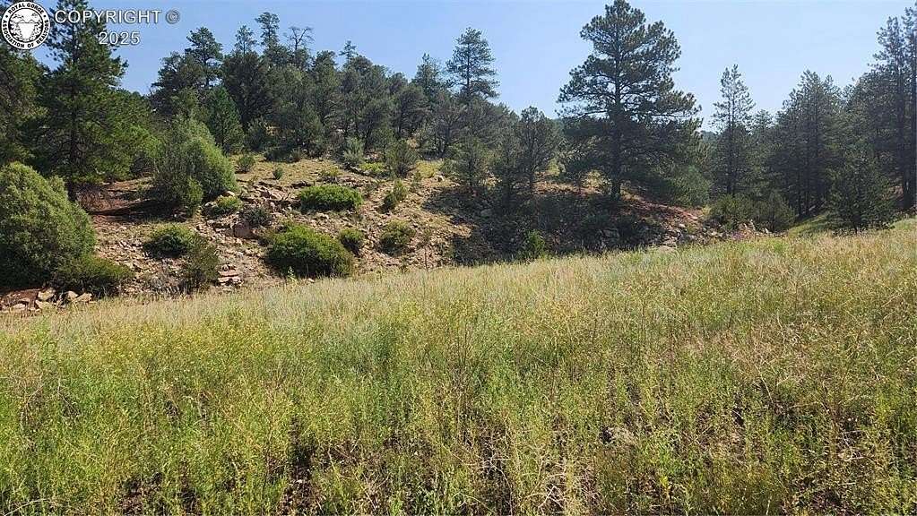 9.5 Acres of Residential Land for Sale in Cotopaxi, Colorado