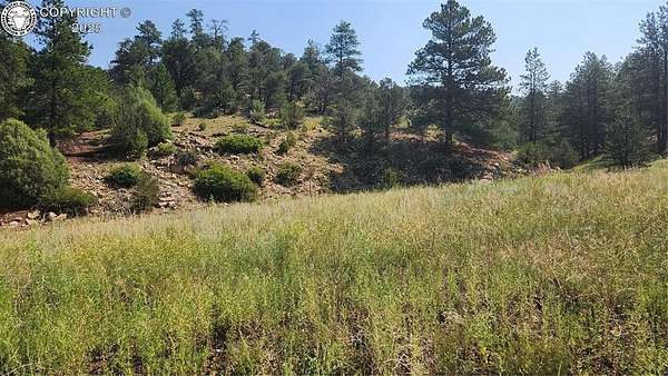 9.5 Acres of Residential Land for Sale in Cotopaxi, Colorado