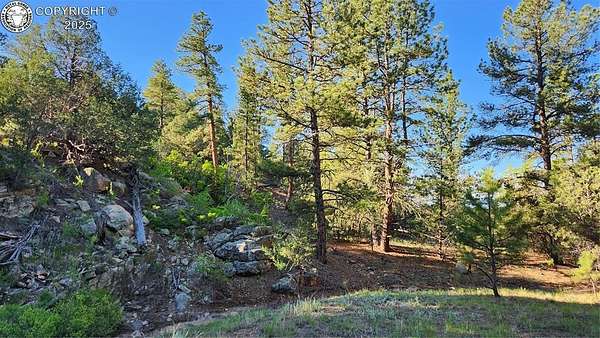 8 Acres of Land for Sale in Cotopaxi, Colorado