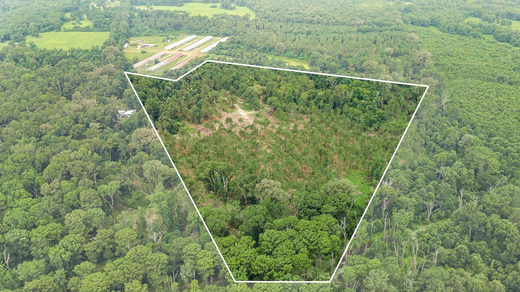 50.3 Acres of Recreational & Residential Land for Sale in Center, Texas