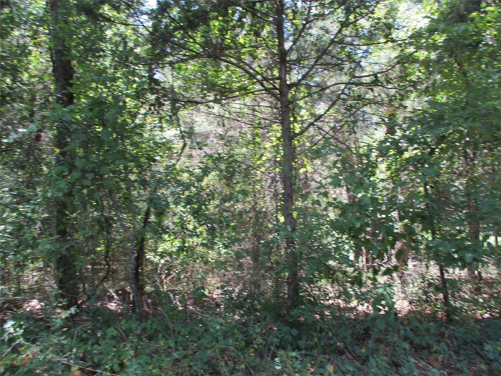 16.8 Acres of Recreational & Residential Land for Sale in Emory, Texas