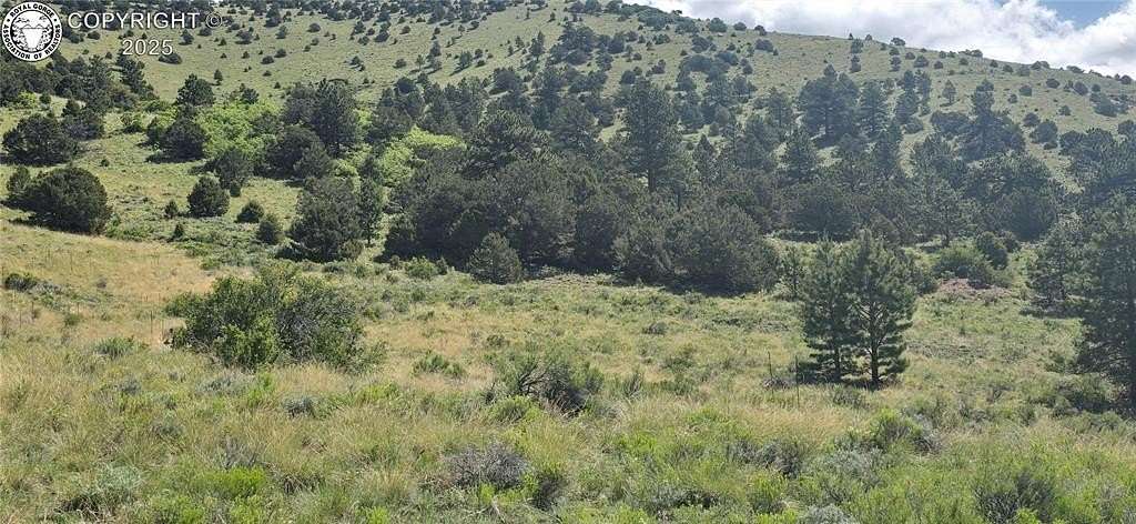 15.2 Acres of Land for Sale in Westcliffe, Colorado
