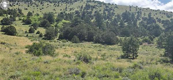 15.2 Acres of Land for Sale in Westcliffe, Colorado