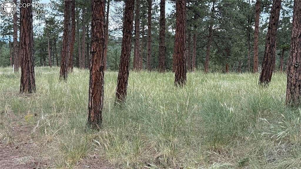2.15 Acres of Land for Sale in Westcliffe, Colorado