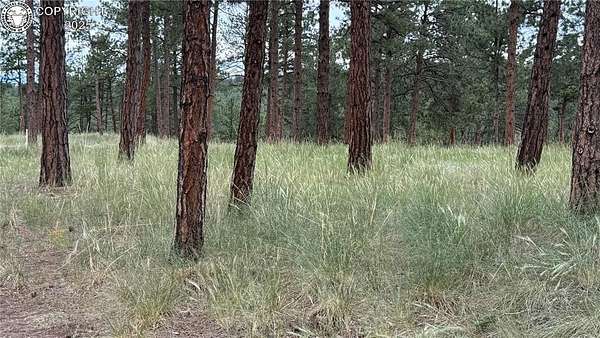 2.15 Acres of Land for Sale in Westcliffe, Colorado