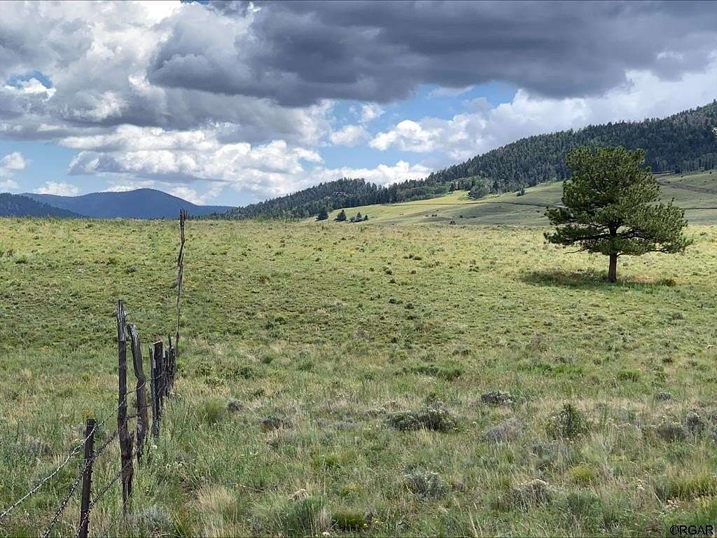 45 Acres of Land for Sale in Westcliffe, Colorado