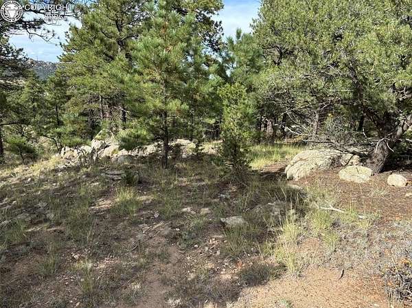 10.7 Acres of Land for Sale in Westcliffe, Colorado