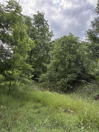 2 Acres of Residential Land for Sale in Grass Lake, Michigan