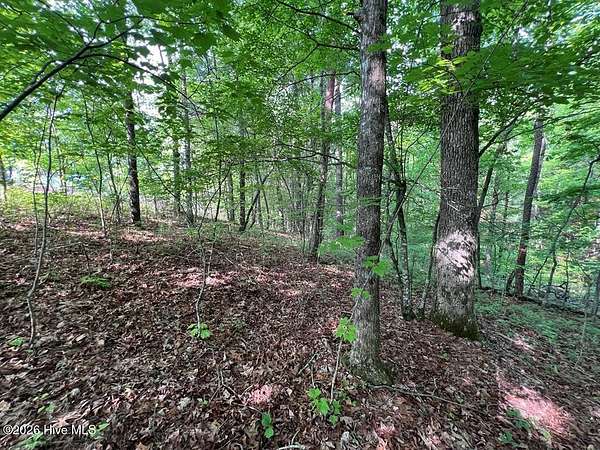 10 Acres of Residential Land for Sale in Murphy, North Carolina