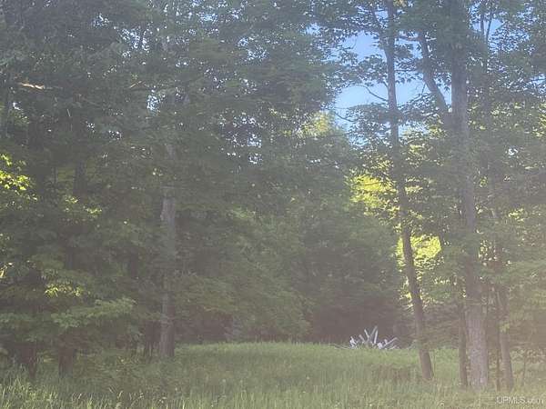 3 Acres of Residential Land for Sale in Sagola, Michigan
