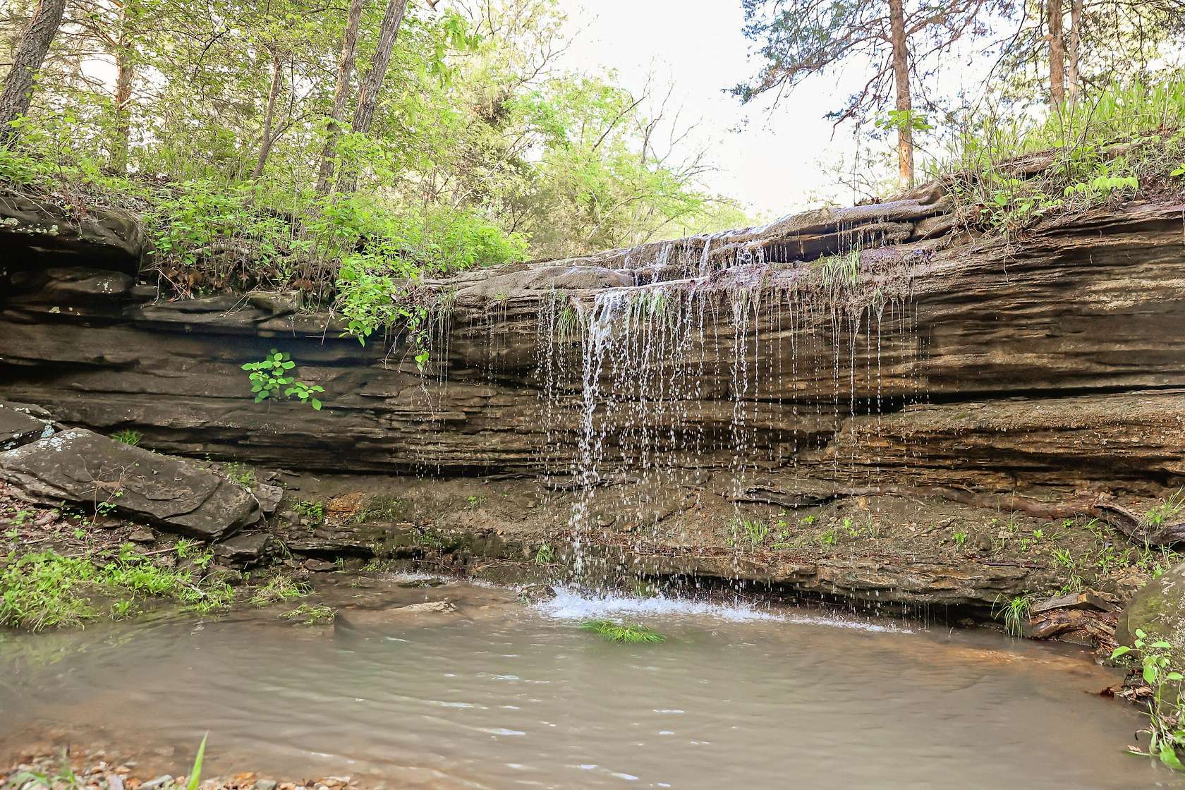 518 Acres of Agricultural Land with Home for Sale in Norwood, Missouri