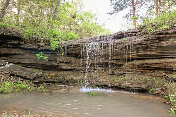 518 Acres of Agricultural Land with Home for Sale in Norwood, Missouri