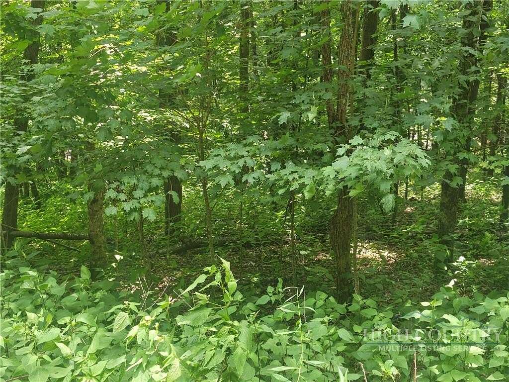 0.33 Acres of Land for Sale in Boone, North Carolina