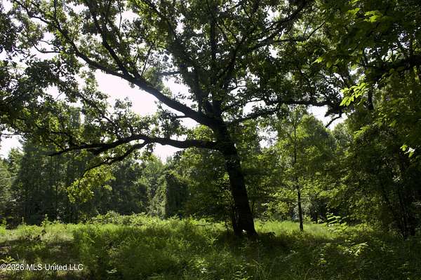 606 Acres of Recreational Land for Sale in Charleston, Mississippi