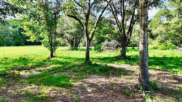 1 Acre of Residential Land for Sale in Cottonwood, Alabama