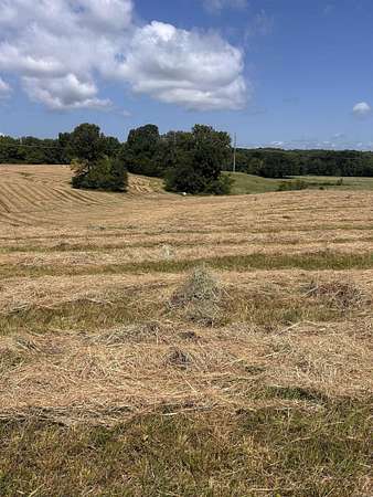 18 Acres of Recreational & Residential Land for Sale in Piggott, Arkansas