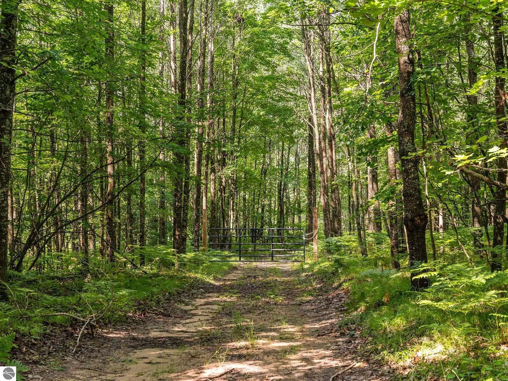 55 Acres of Recreational Land for Sale in Cadillac, Michigan