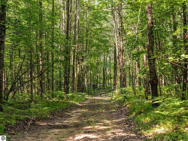 55 Acres of Recreational Land for Sale in Cadillac, Michigan