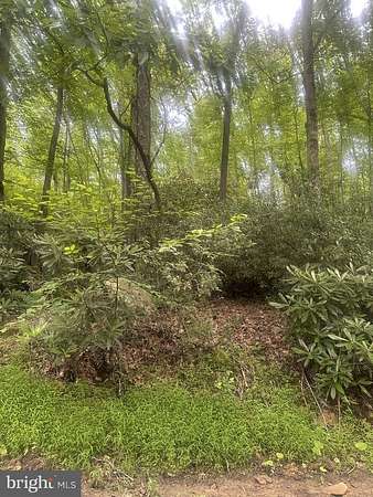 1 Acre of Residential Land for Sale in Oakland, Maryland
