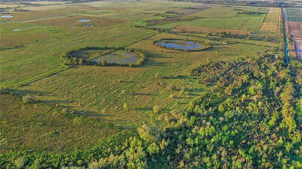 83.6 Acres of Land for Sale in Myakka City, Florida