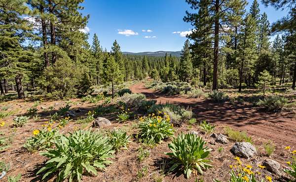 1.48 Acres of Residential Land for Sale in Alturas, California