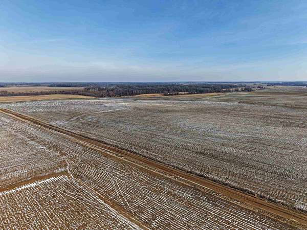 294 Acres of Agricultural Land for Sale in Marion Township, Arkansas