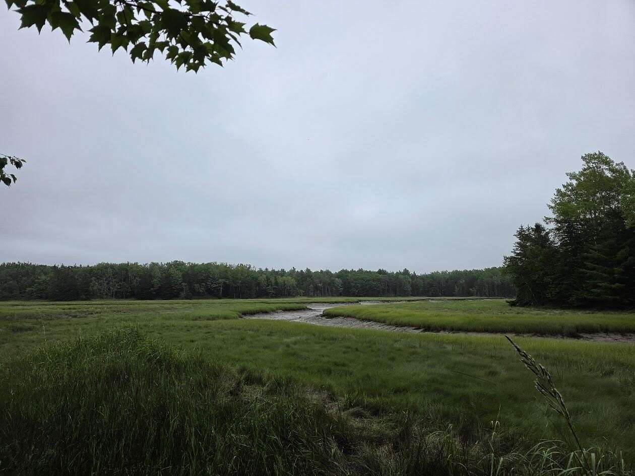 20.6 Acres of Recreational Land for Sale in Milbridge, Maine