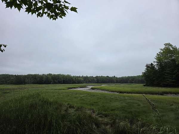 20.6 Acres of Recreational Land for Sale in Milbridge, Maine