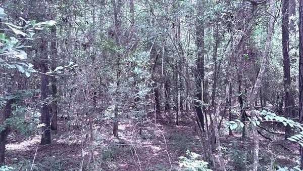 2.88 Acres of Residential Land for Sale in Doucette, Texas
