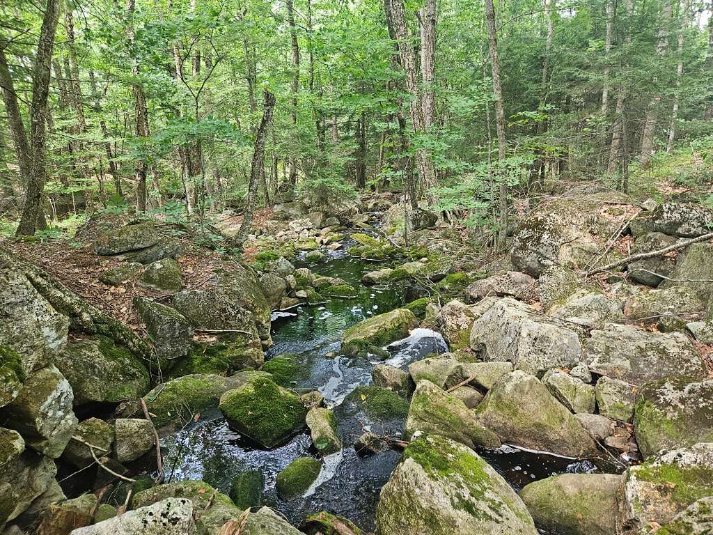 160 Acres of Land for Sale in Leeds, Maine