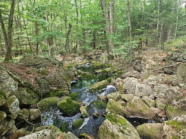 160 Acres of Land for Sale in Leeds, Maine