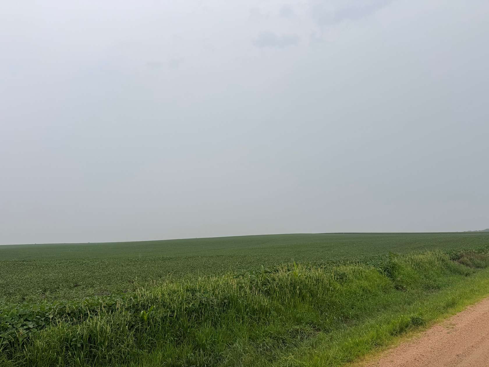 313 Acres of Agricultural Land for Sale in Bruning, Nebraska