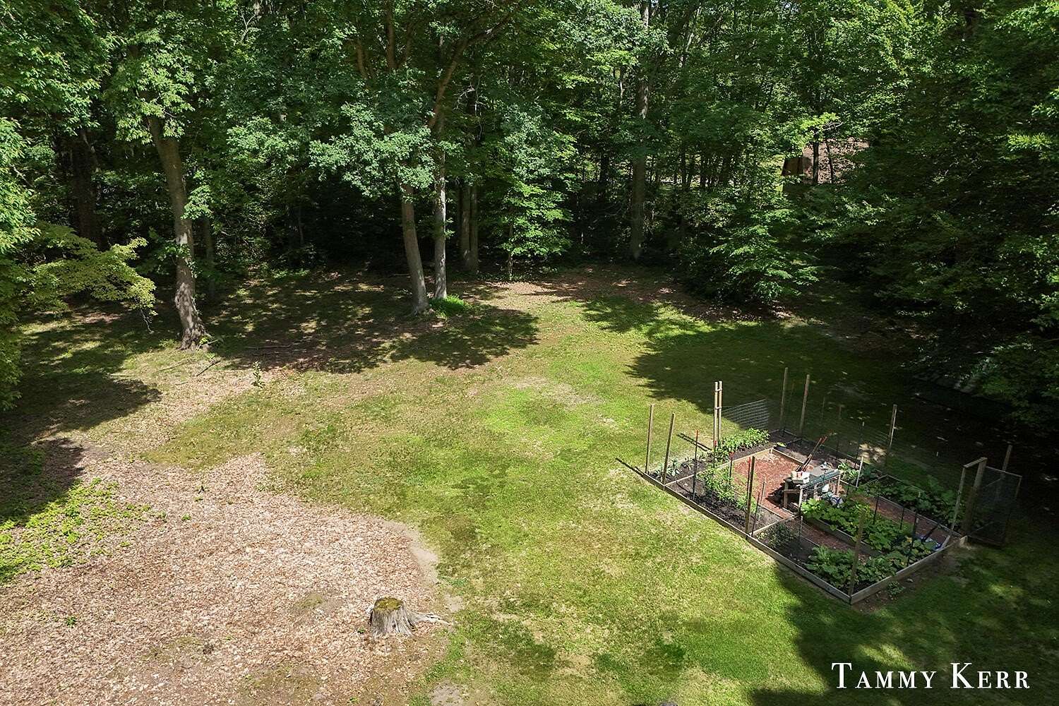3.75 Acres of Residential Land for Sale in Saugatuck, Michigan