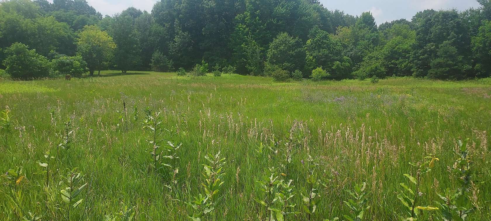 20.4 Acres of Land for Sale in Coral, Michigan