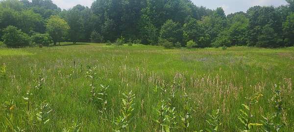 20.4 Acres of Land for Sale in Coral, Michigan