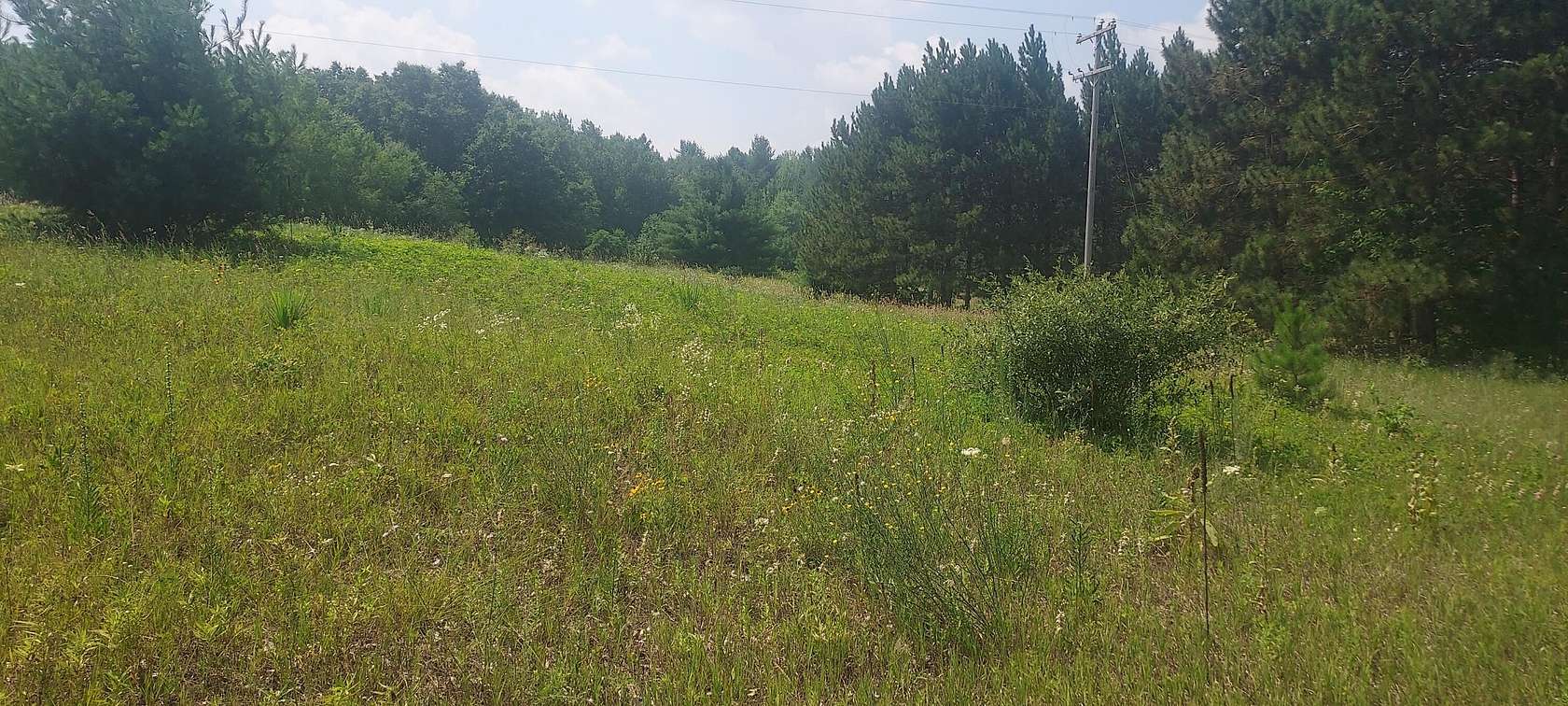 11.1 Acres of Land for Sale in Howard City, Michigan