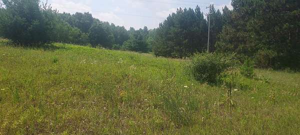 11.1 Acres of Land for Sale in Howard City, Michigan