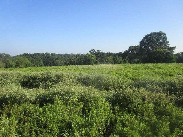 24 Acres of Recreational Land for Sale in Grapeland, Texas
