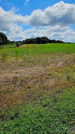 49.5 Acres of Recreational & Residential Land for Sale in Peachland, North Carolina