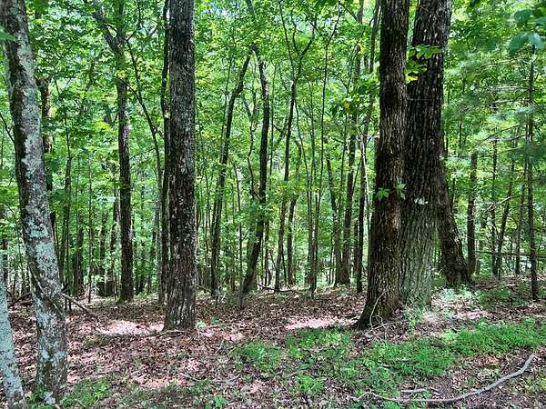 1 Acre of Residential Land for Sale in Ellijay, Georgia