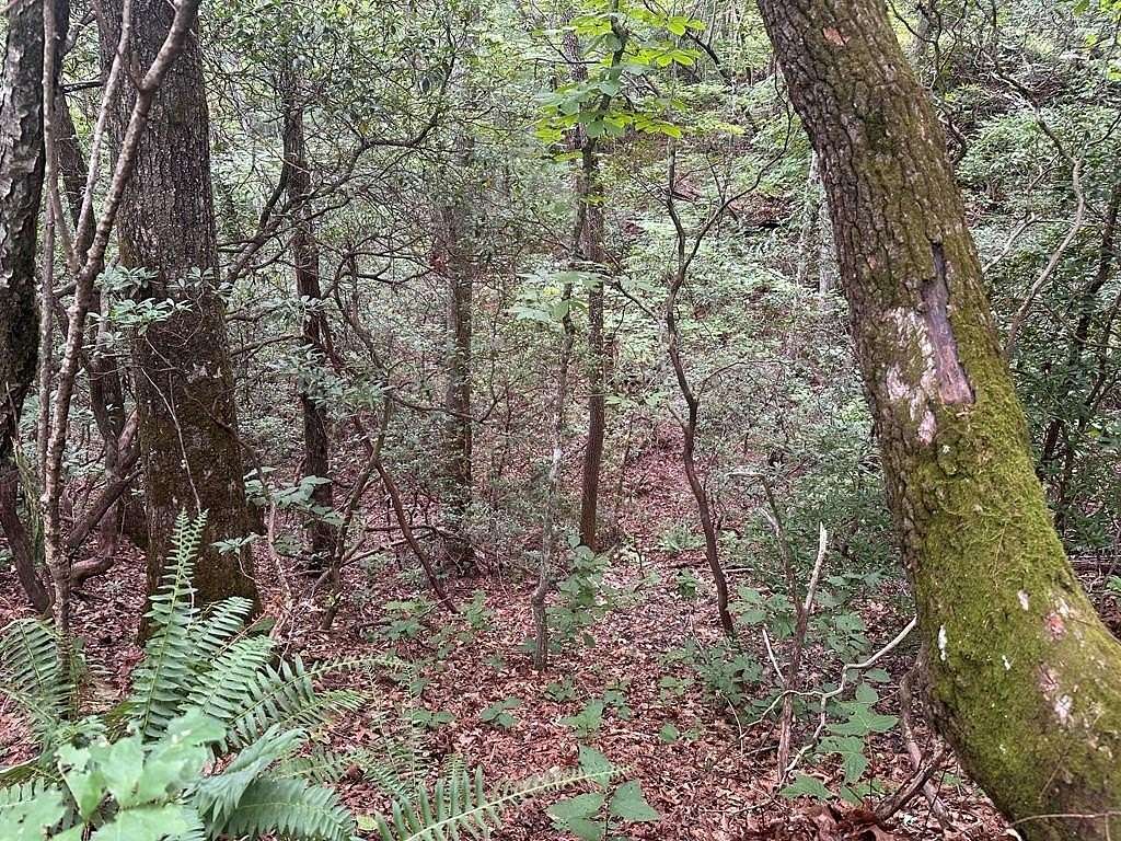 1 Acre of Residential Land for Sale in Otto, North Carolina