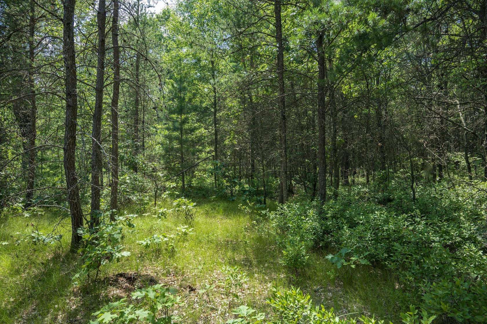 22.5 Acres of Recreational & Residential Land for Sale in Necedah, Wisconsin