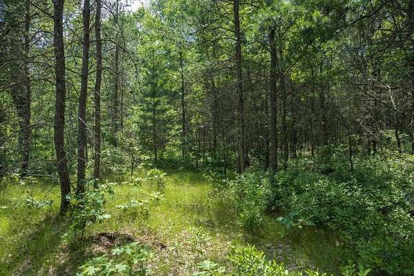 22.5 Acres of Recreational & Residential Land for Sale in Necedah, Wisconsin