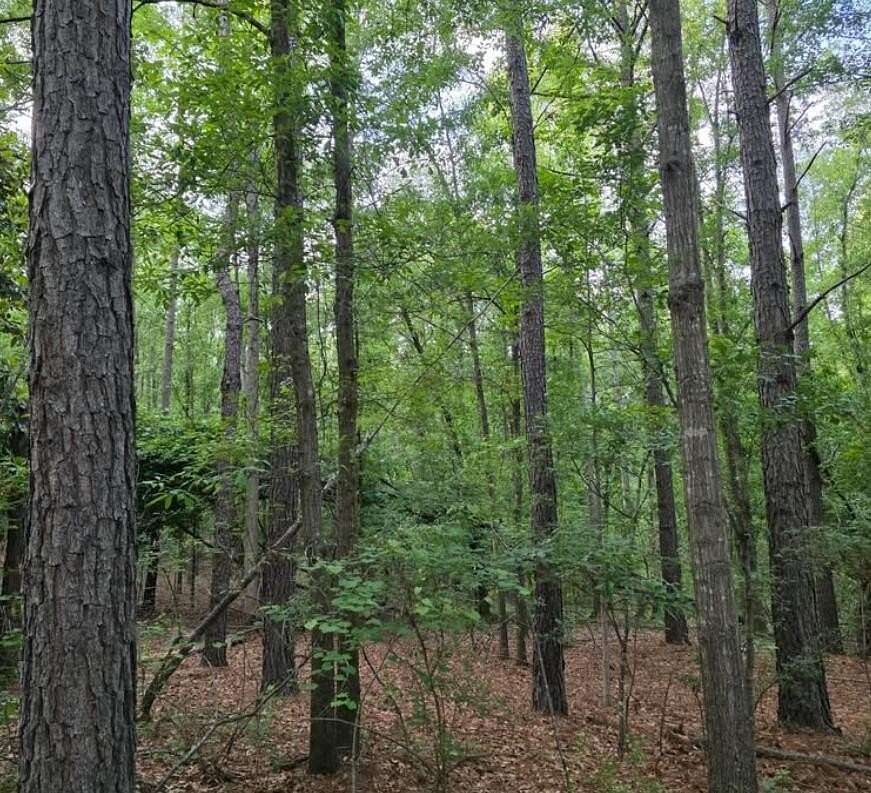 15 Acres of Land for Sale in North Augusta, South Carolina