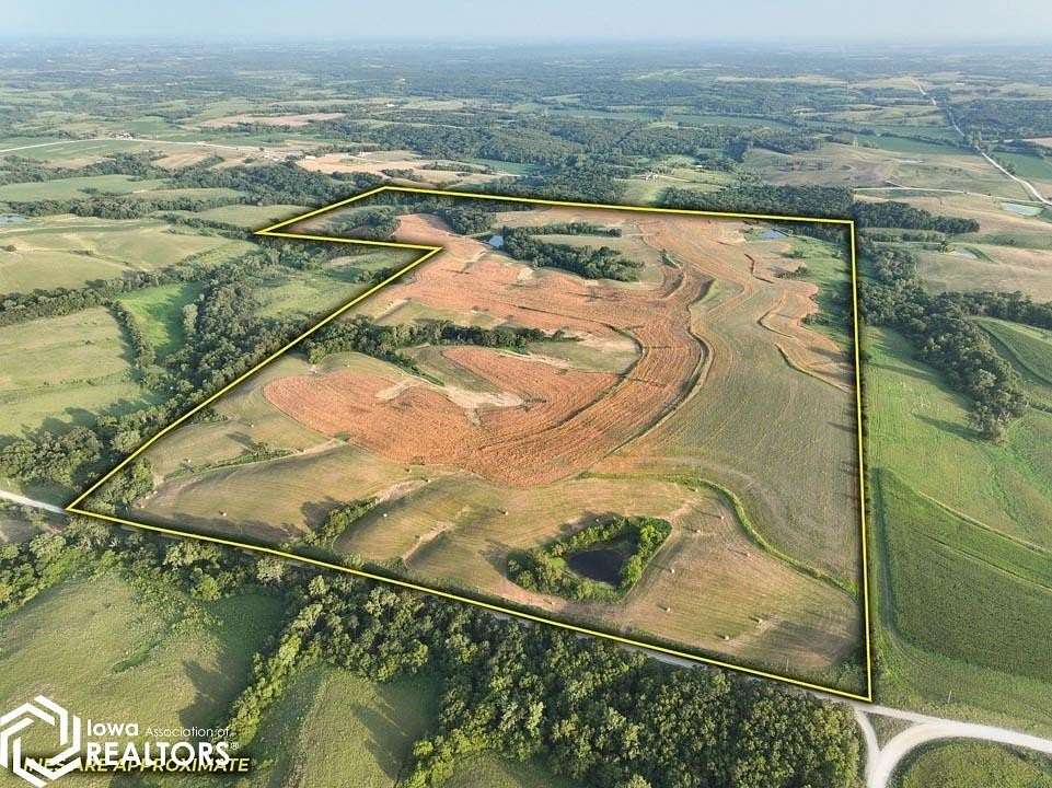 228 Acres of Land for Sale in Osceola, Iowa