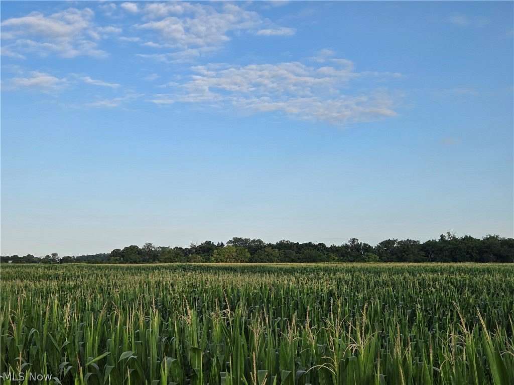 65.1 Acres of Agricultural Land for Sale in La Rue, Ohio